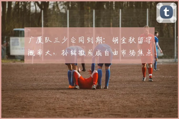 广厦队三少合同到期:胡金秋留守概率大,孙铭徽或成自由市场焦点